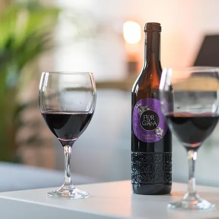 Apartment Concepcion Plaza La Laguna (Tenerife)