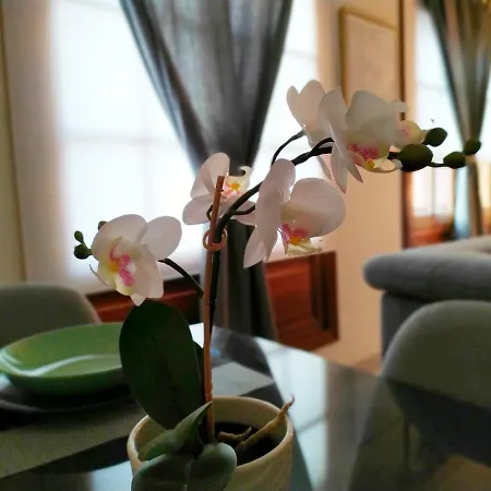 Concepcion Plaza Apartment